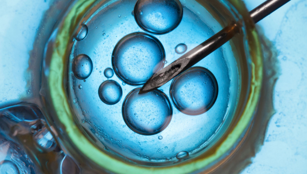 How Kingwood IVF With Frozen Embryos Works