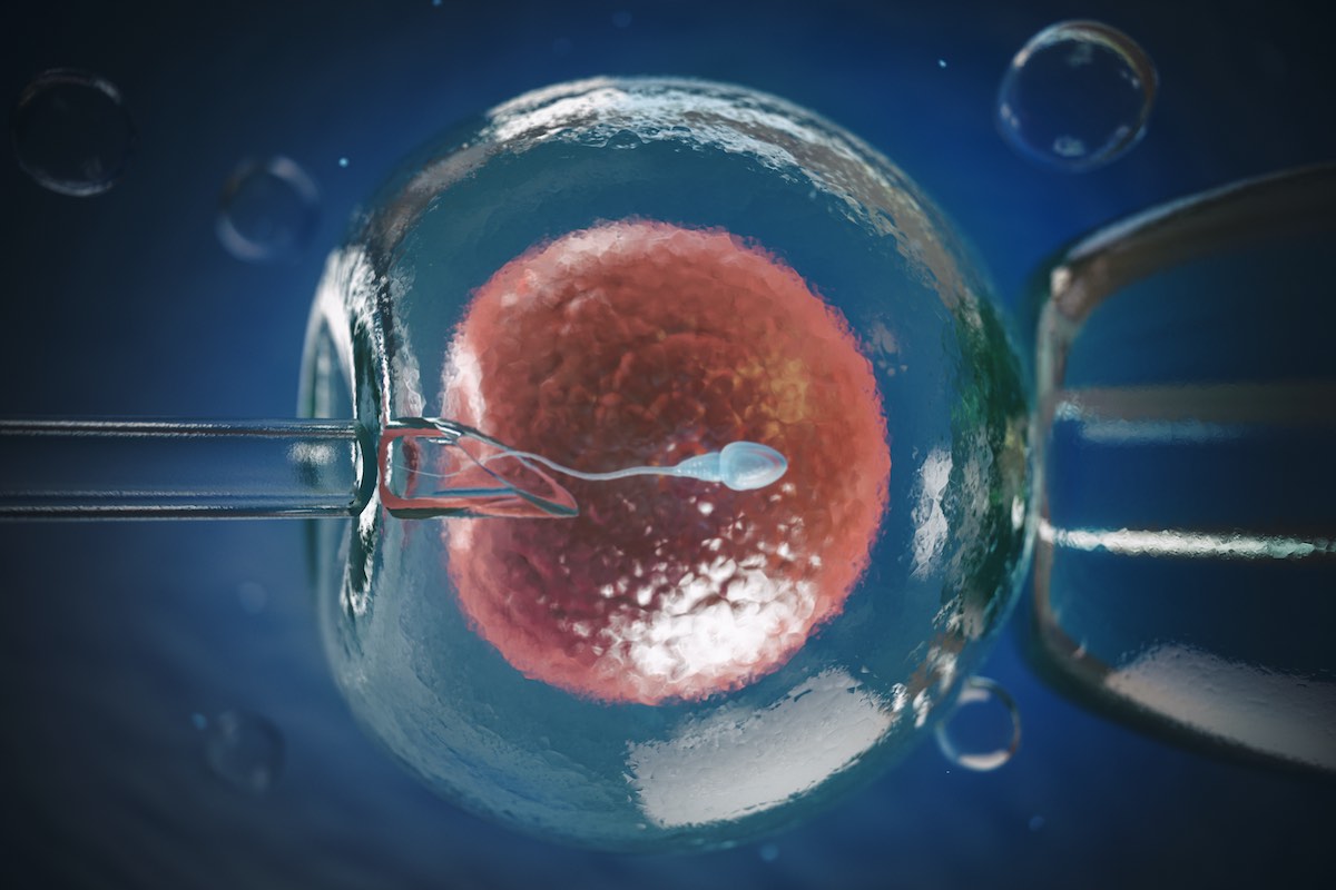 3d illustration of north houston ivf process that takes place in our lab