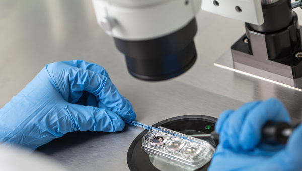 Doctor in a lab placing eggs in a petri dish