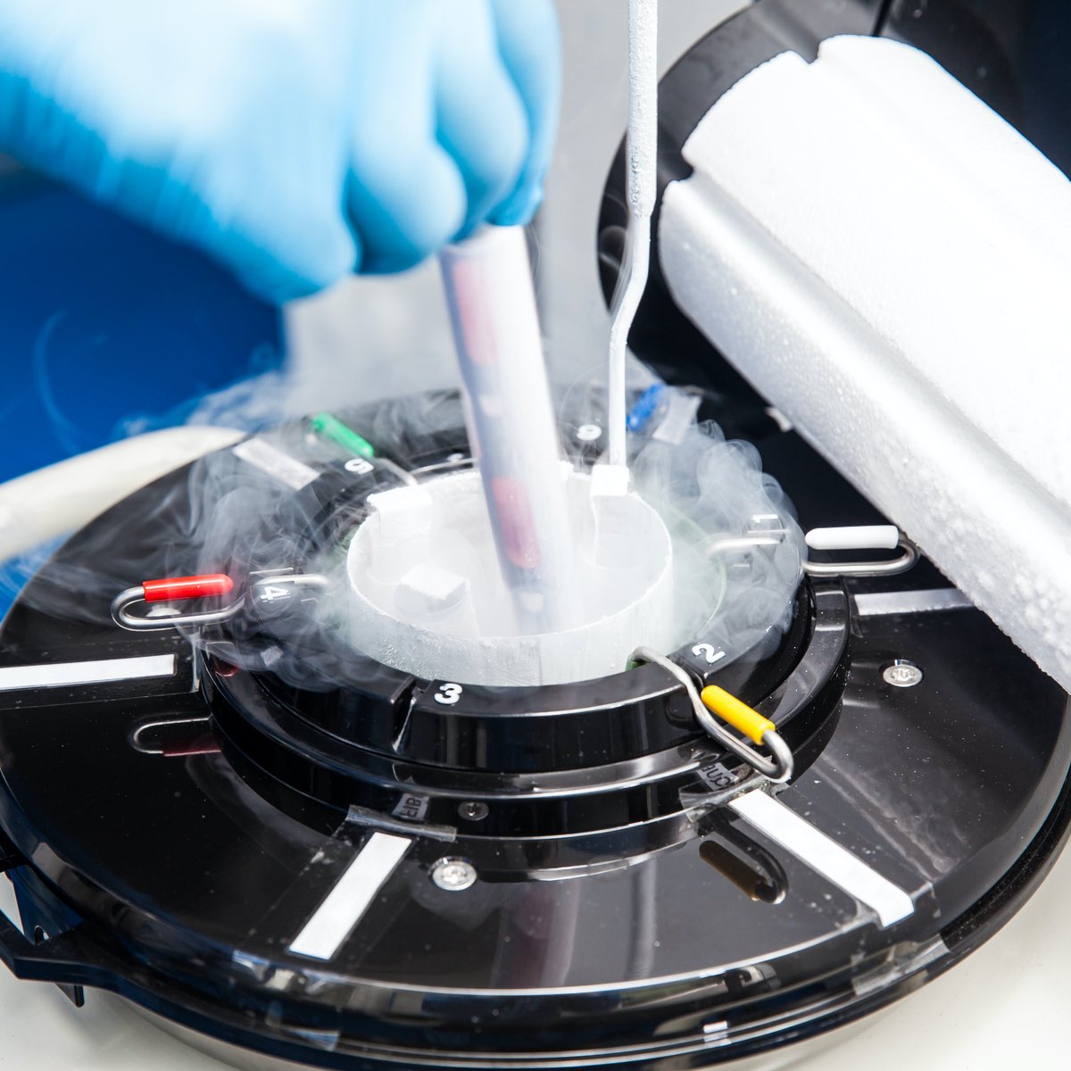 The Woodlands fertility clinic specialist freezing eggs in a lab