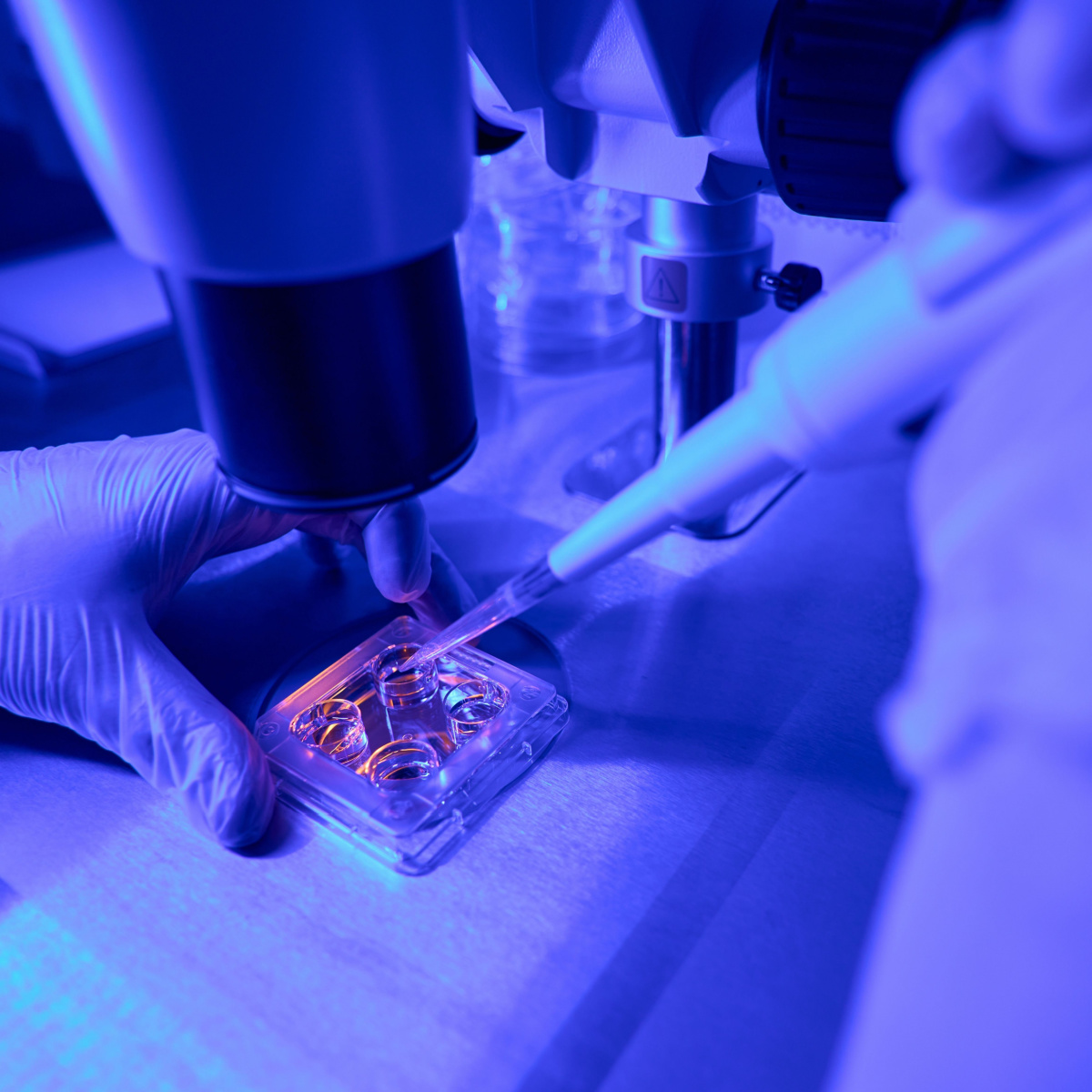 Testing embryo quality in Kingwood IVF