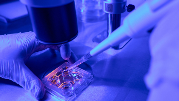 Testing embryo quality in Kingwood IVF