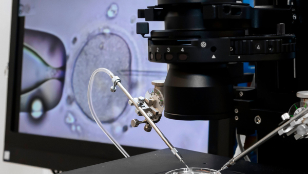 Kingwood IVF in the lab