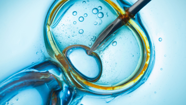 Kingwood IVF myths vs facts