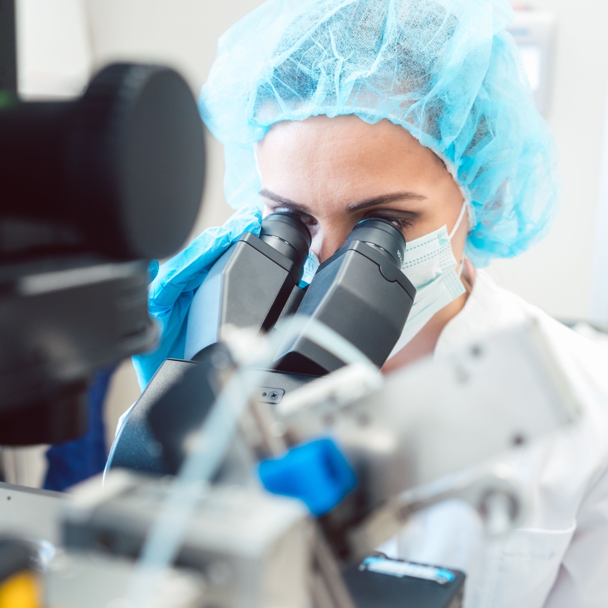 Frozen embryos being handled in the lab