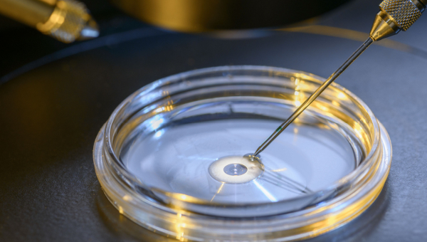 A graphic on the Woodlands IVF