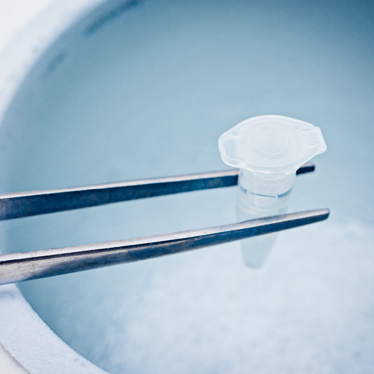 Is North Houston IVF With Frozen Embryos More Effective Than With