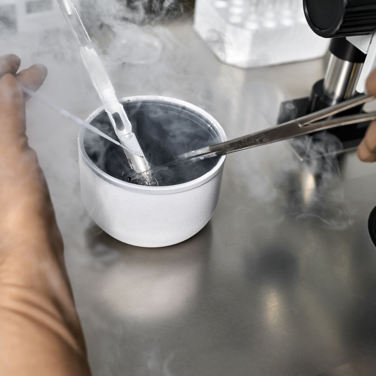 The Basics of Freezing Your Eggs for The Woodlands IVF