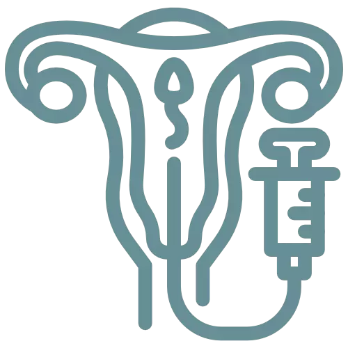 Intrauterine Insemination icon