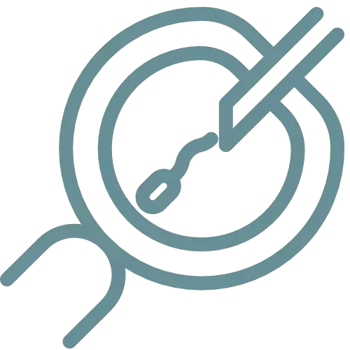 In Vitro Fertilization icon