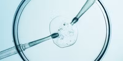 A closeup of Kingwood IVF