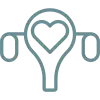 Ovulation Induction Icon