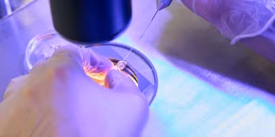 Closeup of a petri dish for Kingwood IVF
