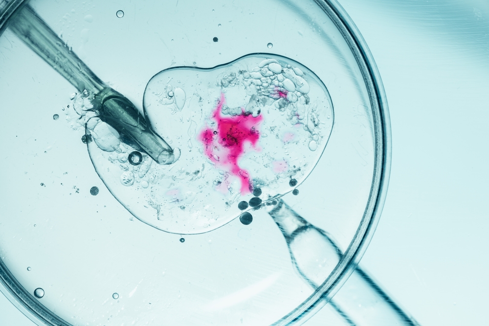 close up of insemination 