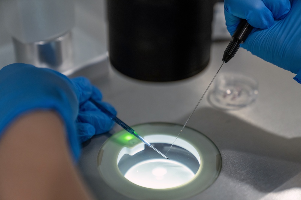 embryologist manipulating egg