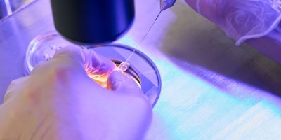 Closeup of a petri dish for Kingwood IVF