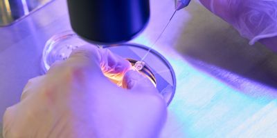 Advanced North Houston IVF at HART Fertility Clinic