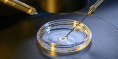 north houston ivf lab tech working with donor egg