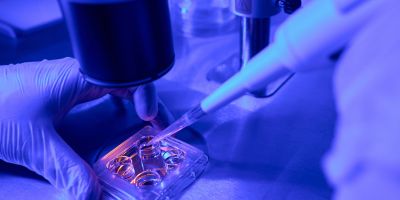 Testing embryo quality in Kingwood IVF