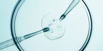 A closeup of Kingwood IVF