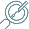Intracytoplasmic Injection (ICSI) Icon