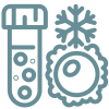 Freezing of Embryos and Frozen Embryo Transfer (FET) Icon