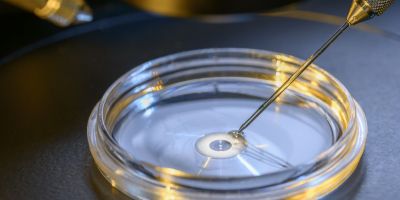 A graphic on the Woodlands IVF
