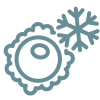 Egg Freezing (Mature Oocyte Cryopreservation) Icon