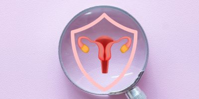 A graphic of a woman's reproductive system