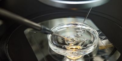 Kingwood IVF in the lab