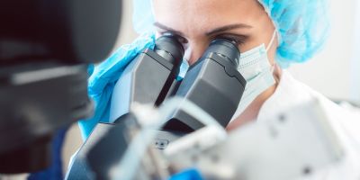 Frozen embryos being handled in the lab