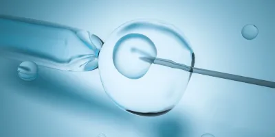 3D graphic showing North Houston IVF