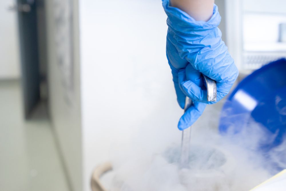 Freezing embryos in a bank using liquid nitrogen tank 