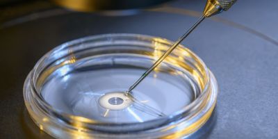A petri dish in an IVF lab
