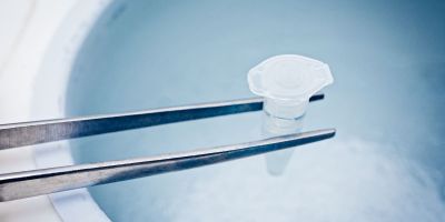 North Houston fertility specilaist freezing embryos for IVF