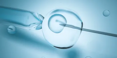 3D graphic showing North Houston IVF