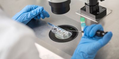 North Houston fertility specilaist using donor eggs for IVF