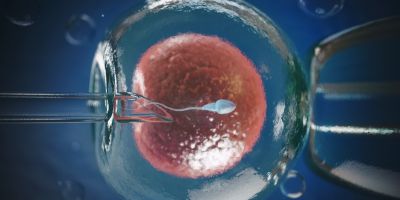 3d illustration of north houston ivf process that takes place in our lab