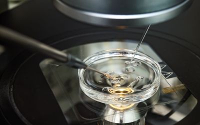 Kingwood IVF in the lab