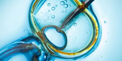 Kingwood IVF myths vs facts