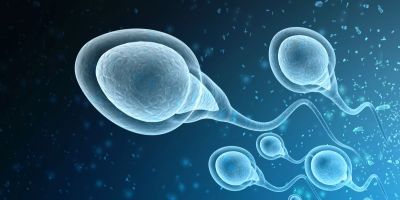 Donor sperm for the The Woodlands IVF.